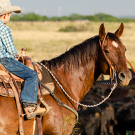 Ranch Photo